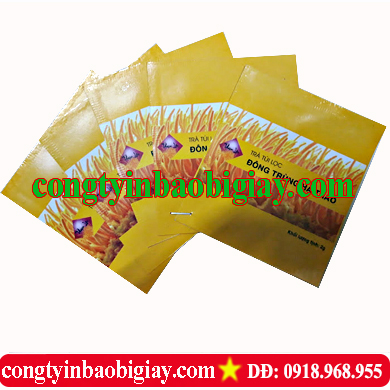 In túi trà túi lọc| baobimangghep.com